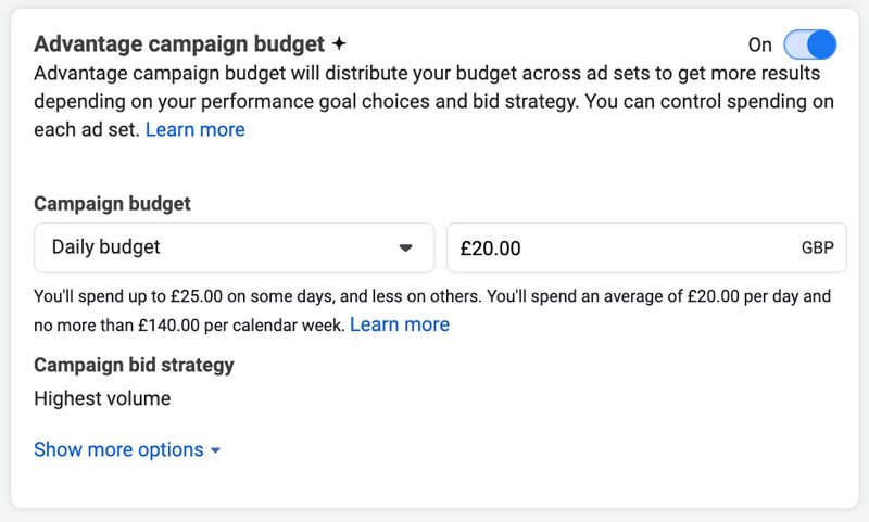 3. Advantage Campaign Budget