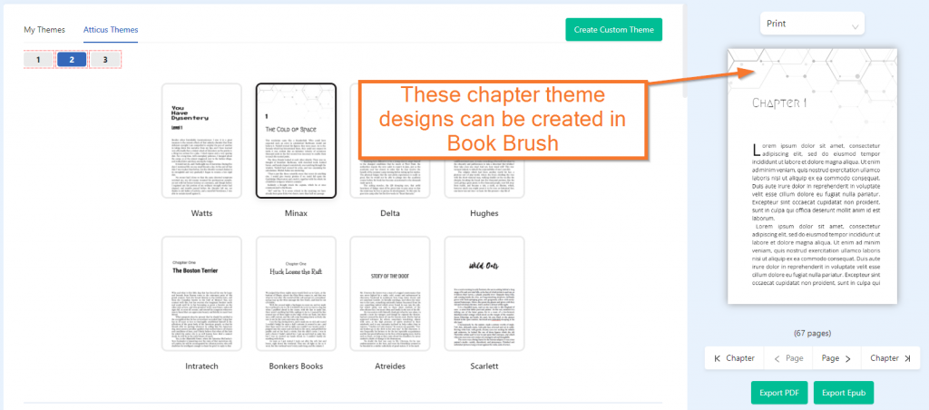 Book Brush Review: Don't Try Them Until You Read This!
