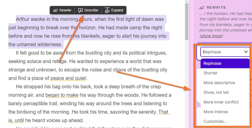 Sudowrite revision tools showing options like Rewrite and Describe for editing text